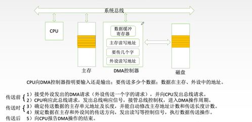 计算机组成原理 输入输出设备 i o设备